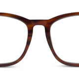 Bronco (Blue Light), Tortoise Horn