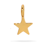 Charm Garden Star Charm