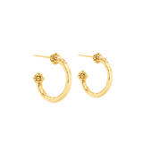 Berry Slice Small Hoop Earrings, Gold