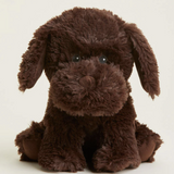 Chocolate Labrador Warmies