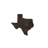 Tejas Paperweight
