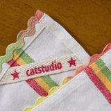 Texas Dish Towel