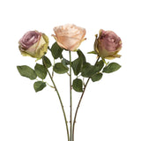 Antique Garden Rose Stem, Mauve