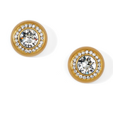 Suisses Gold Brushed Post Earrings