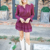 Vesna Embroidered Mini Dress, Faded Merlot