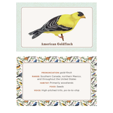 The Beginner Birder's Deck