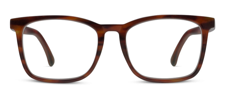 Bronco (Blue Light), Tortoise Horn