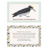 The Beginner Birder's Deck