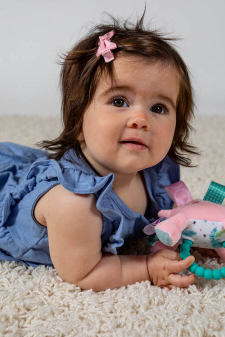 Taggies Aroar-a-saurus Teether Rattle