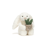 Cream Bunny with Plant