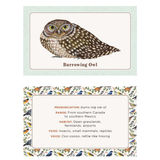 The Beginner Birder's Deck
