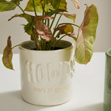 Howdy Pot