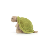Timmy Turtle