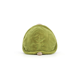Timmy Turtle