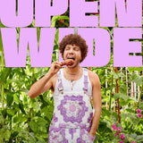 Open Wide, A Cookbook for Friends