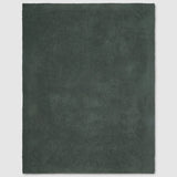 CozyChic® Throw, Deep Juniper