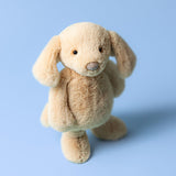 Bashful Luxe Puppy Orlando, Medium