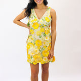 Aisha Floral Appliqué Mini Dress, Yellow Floral