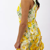 Aisha Floral Appliqué Mini Dress, Yellow Floral
