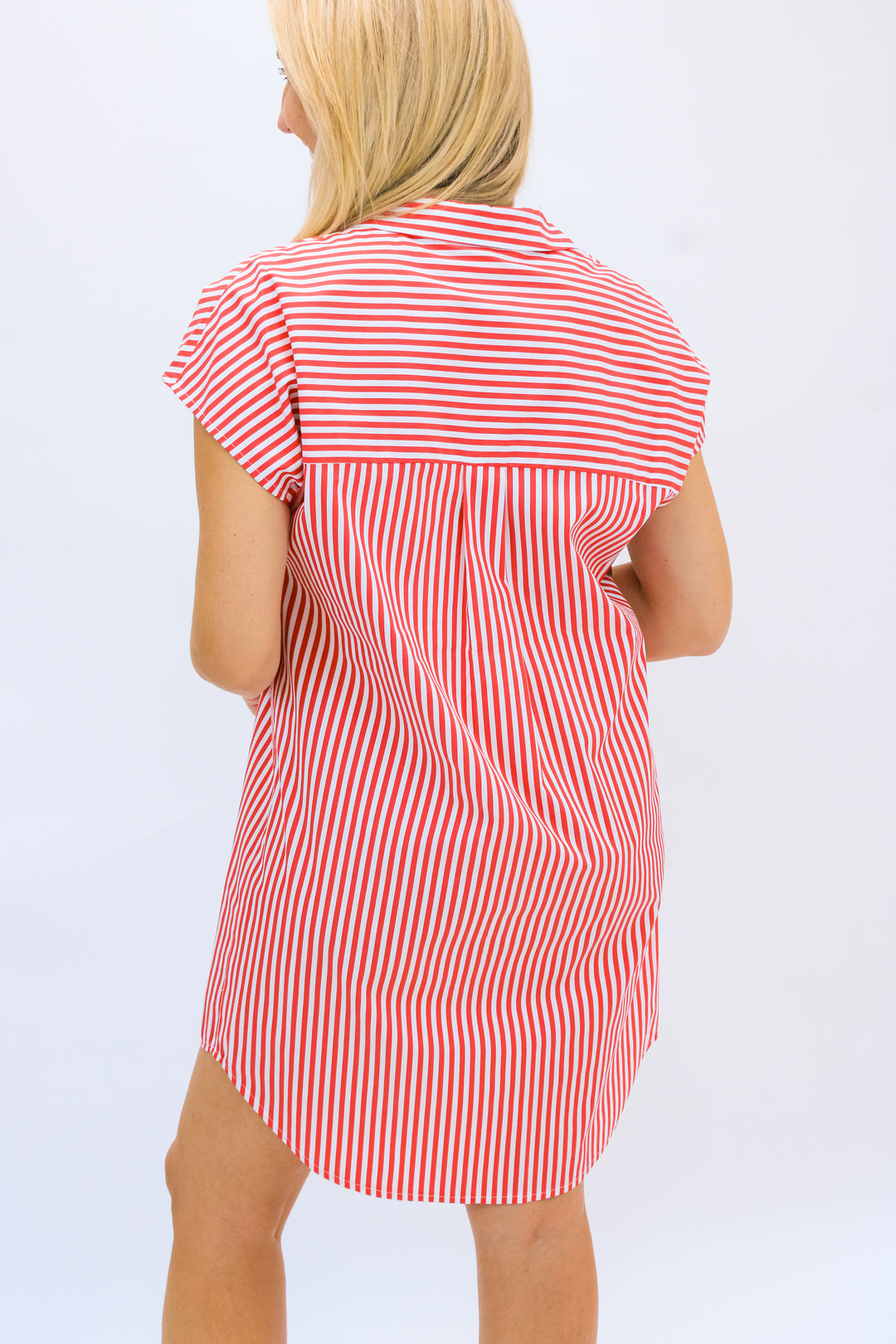 Carter Cotton Shirting Dress, Stripe Red