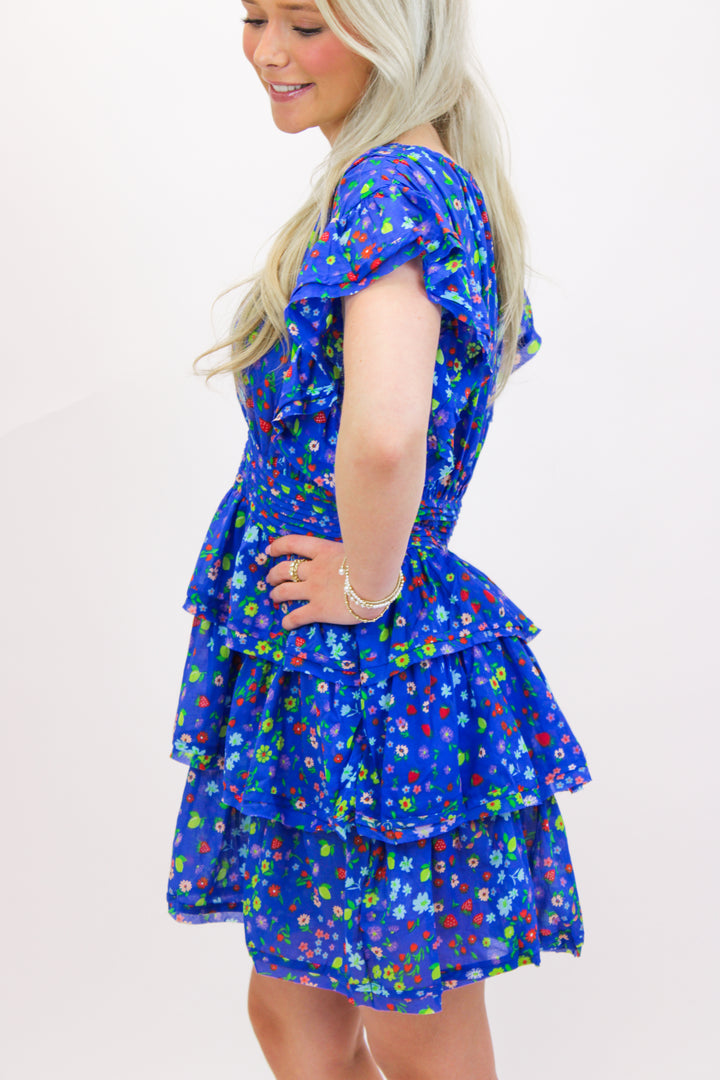 Strawberry Soiree Dress, Blue