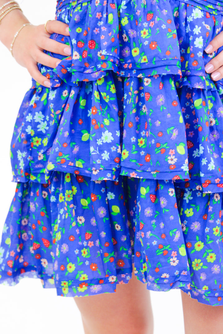 Strawberry Soiree Dress, Blue