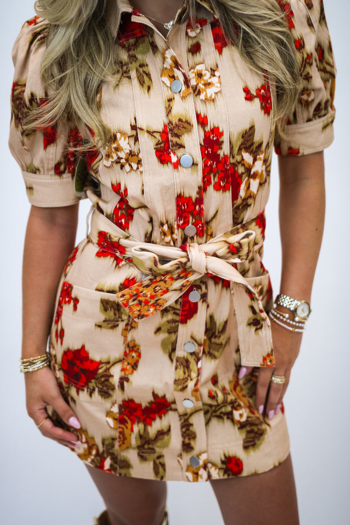 Lovely Moments Puff Sleeve Dress, Taupe/Red