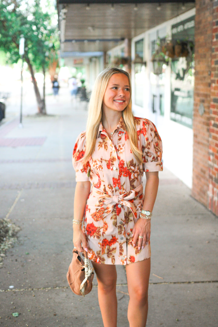 Lovely Moments Puff Sleeve Dress, Taupe/Red