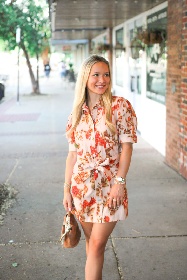 Lovely Moments Puff Sleeve Dress, Taupe/Red