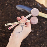 Flower Seed Pops