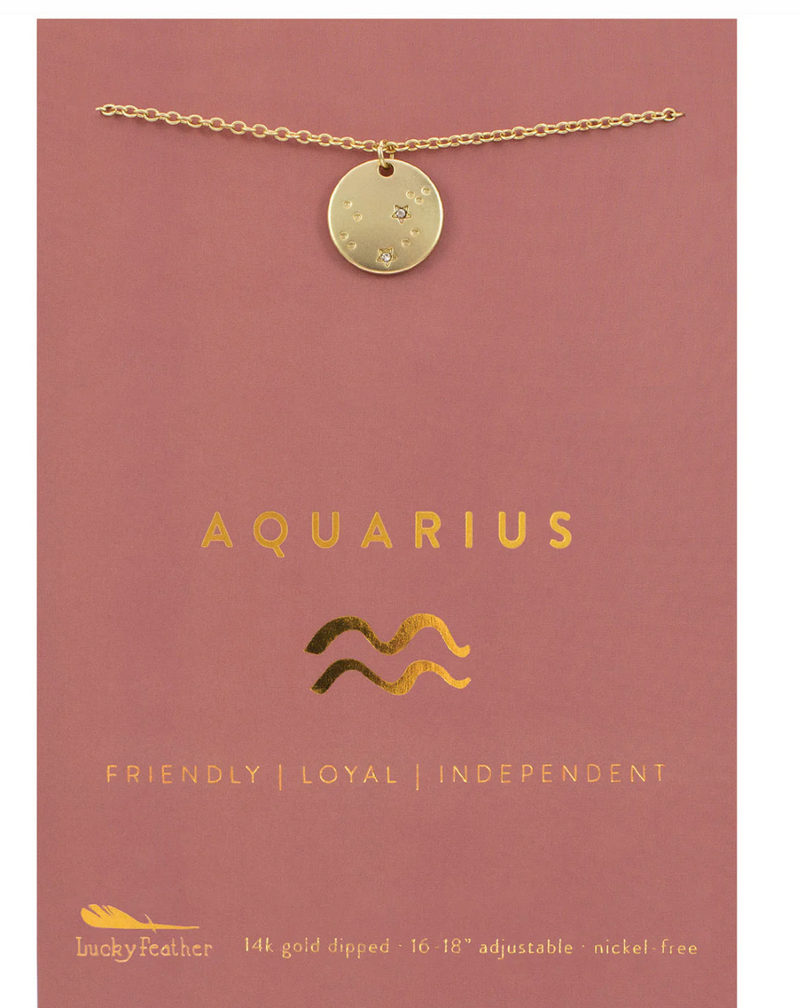 Zodiac Necklace, Aquarius