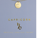 Zodiac Necklace, Capricorn