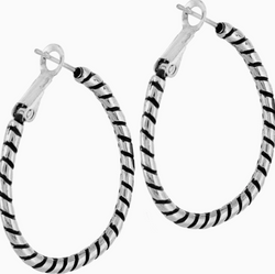 Twist Oval Hoop Charm Earrings