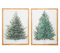 16" Fir Wall Art