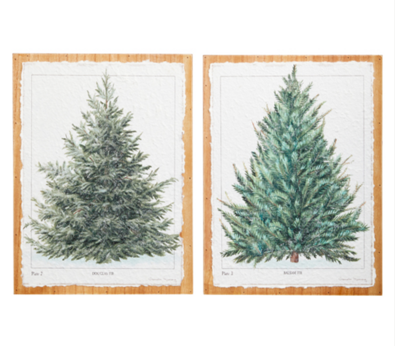 16" Fir Wall Art