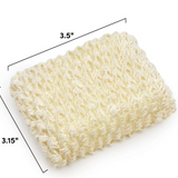 Top Scrub Sponge