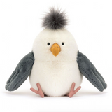 Chip Seagull