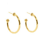 Berry Slice Medium Hoop Earrings, Gold