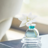 Agraria PetiteEssence Diffuser, Riviera Pearl