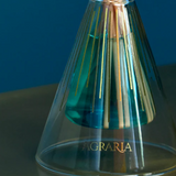 Agraria Reed Diffuser, Mediterranean Jasmine
