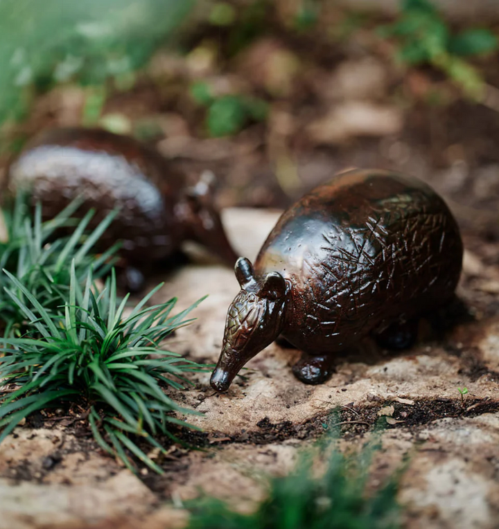 Wax Cast Iron Armadillo