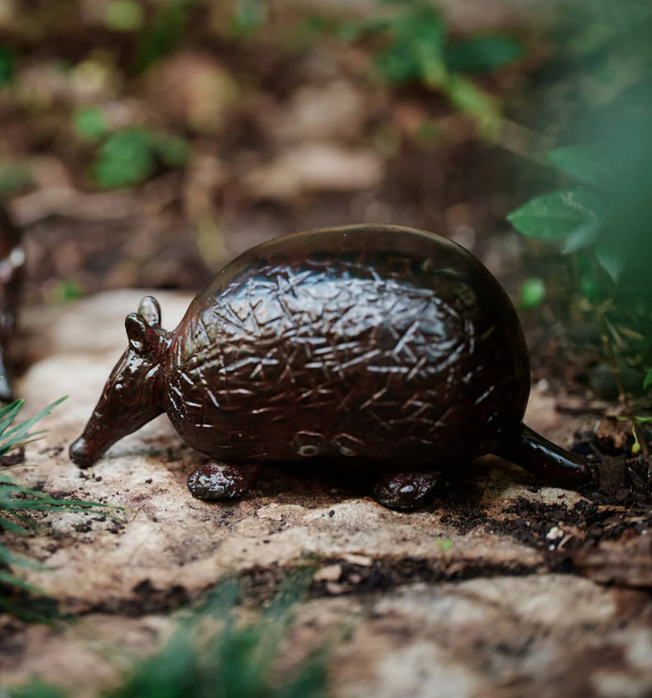 Wax Cast Iron Armadillo