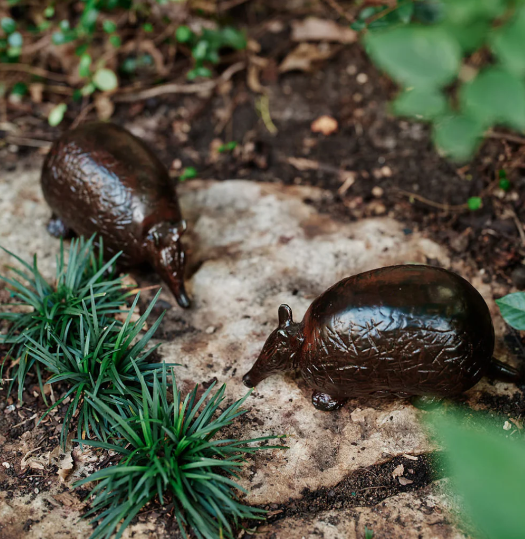 Wax Cast Iron Armadillo