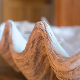 Magnesia Seashell Decor