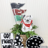Fall Football Pennants