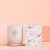 Wish Luminary