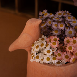 Concrete Bird Planter with Terracotta Finish