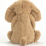 Bashful Toffee Puppy, Medium