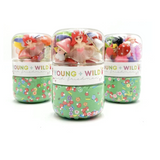 Grab & Go Dough Jar, Fairy