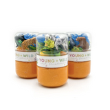 Grab & Go Dough Jar, Zoo